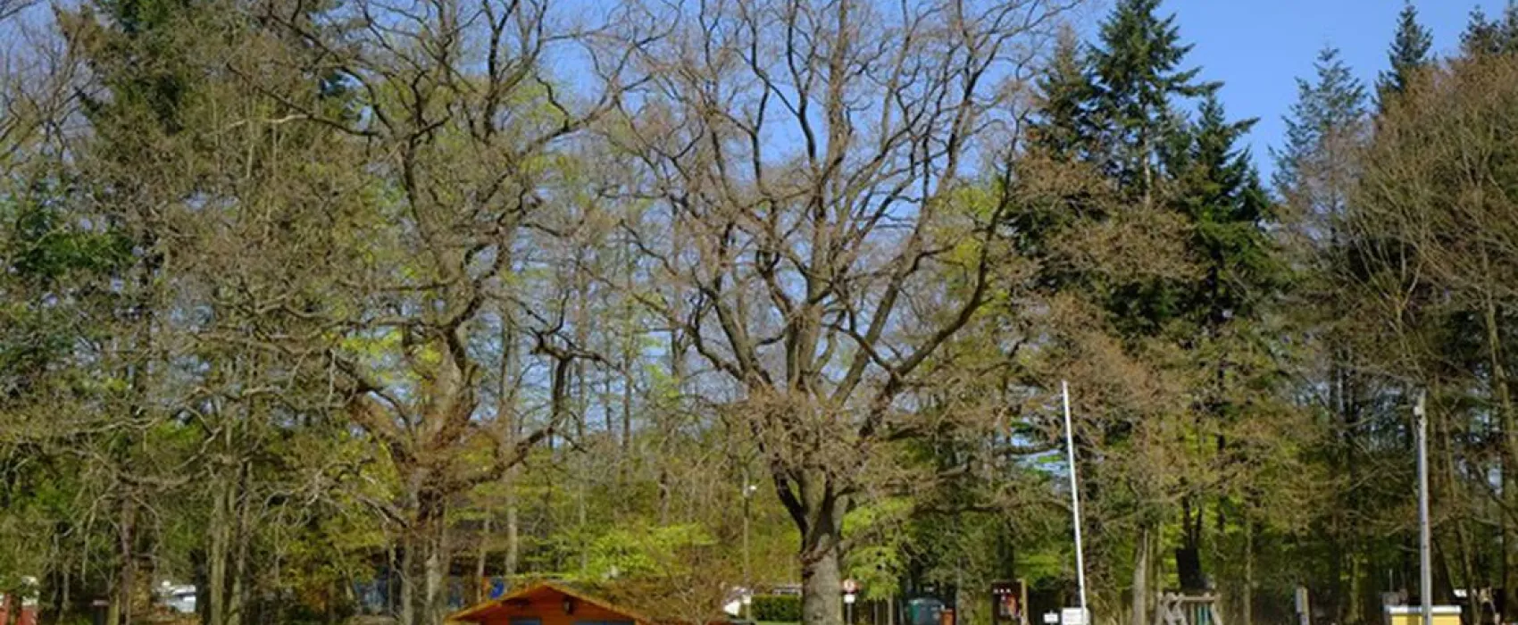 Campingplatz Bredenbeker Teich