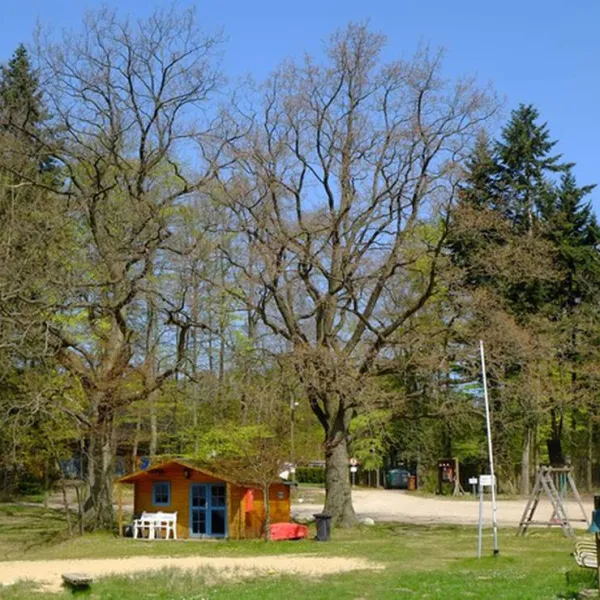 campingplatz-bredenbeker-teich-ammersbek-4ex4c