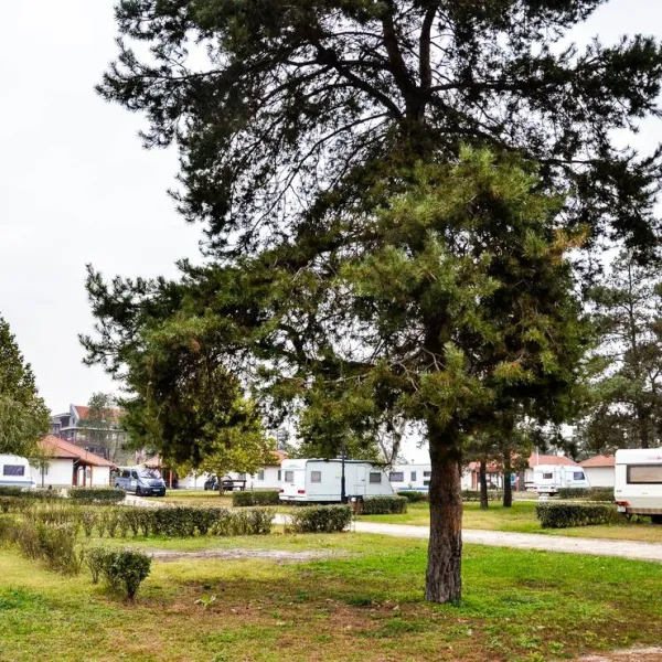 Apartmanpark és Kemping - Cegléd