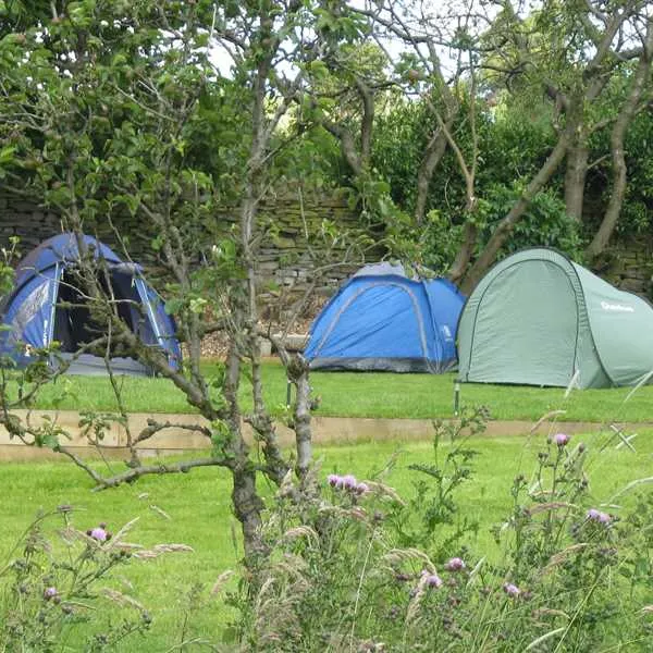 Orchard Camping