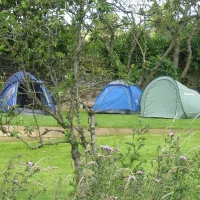 orchard-camping-sheffield-omr3v