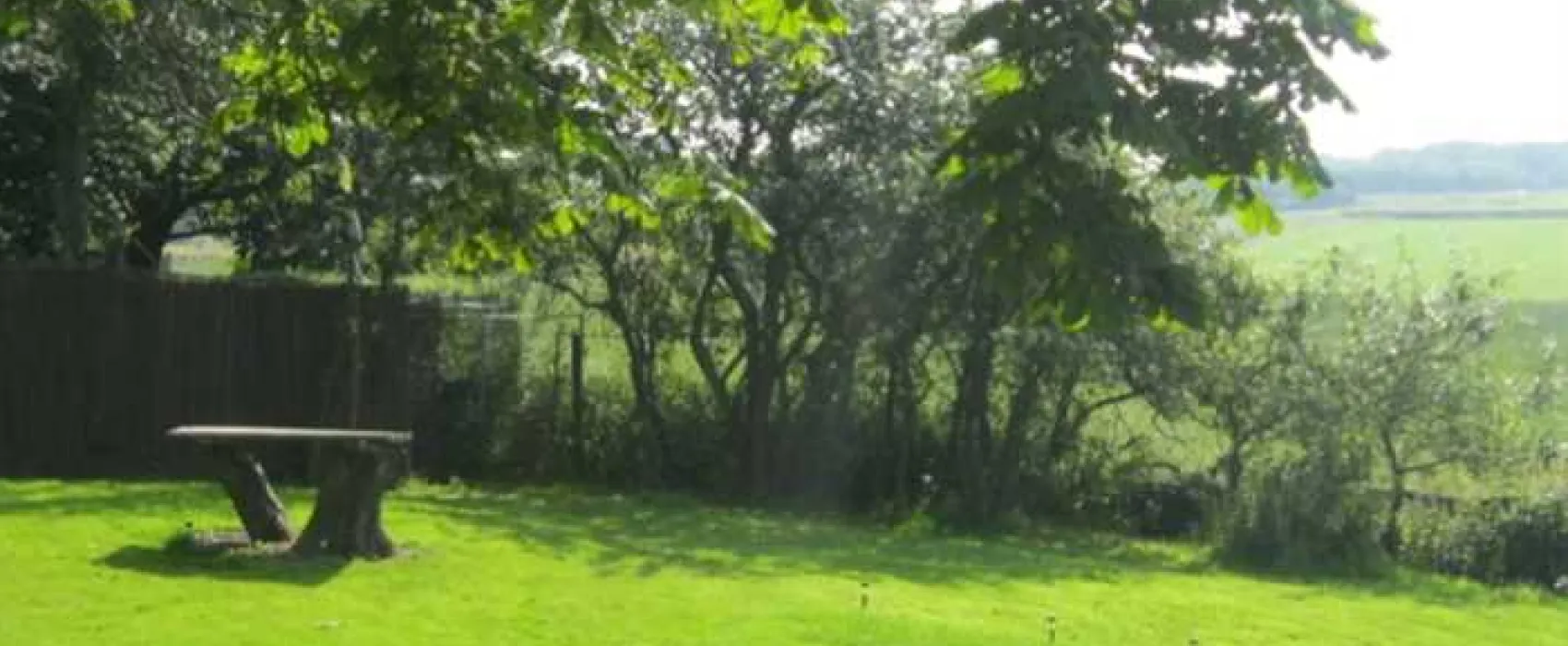 Orchard Camping