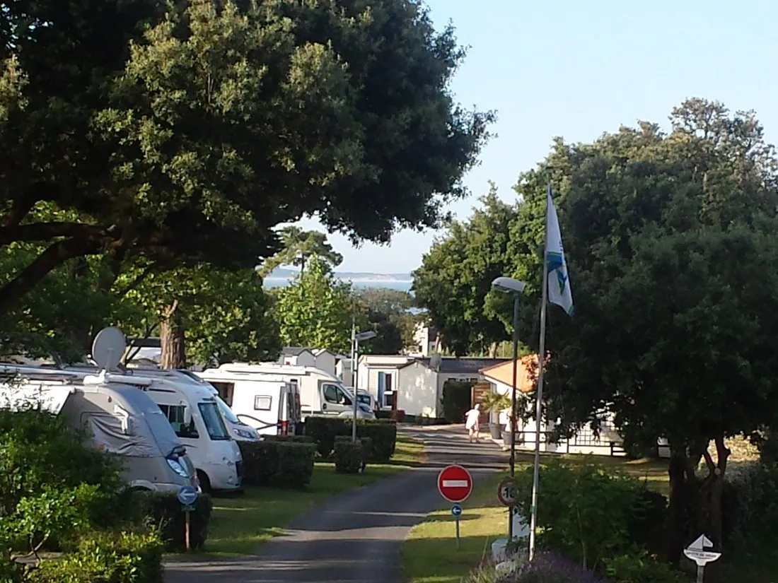 domaine-de-bernezac-st-palais-sur-mer-charente-maritime-gvigl