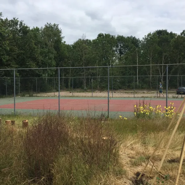 buitenland-nieuw-amsterdam-yggmd