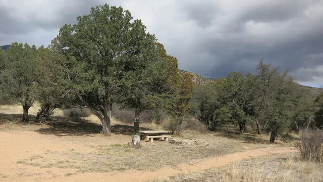 stockton-pass-group-campground-safford-glfoz