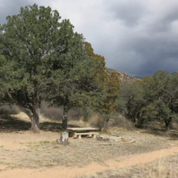 stockton-pass-group-campground-safford-glfoz