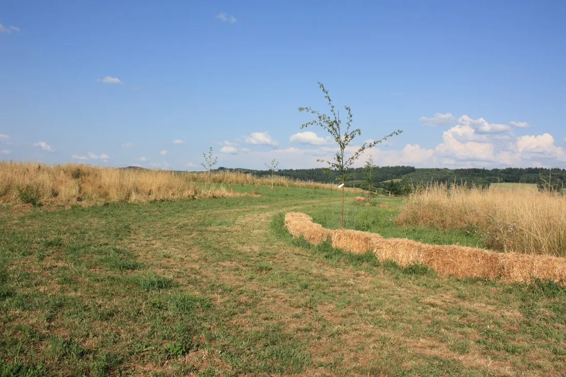 la-vallee-des-fruits-chateauneuf-la-foret-tvsrv