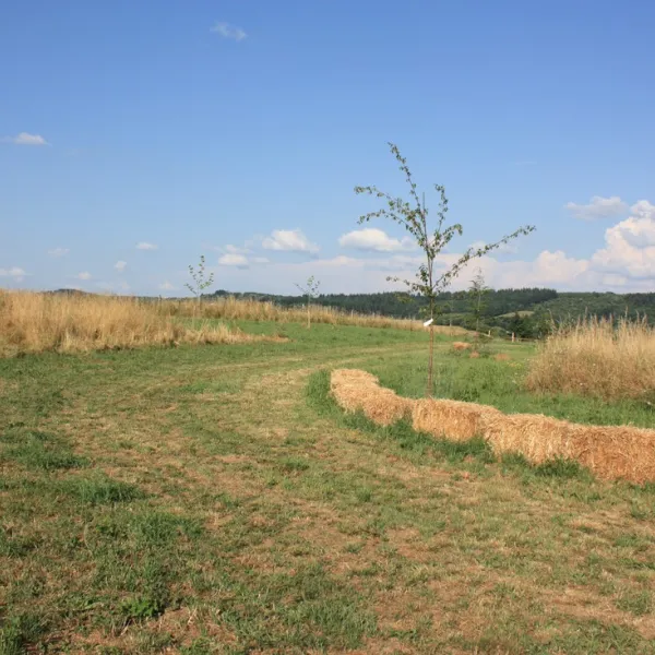 la-vallee-des-fruits-chateauneuf-la-foret-tvsrv