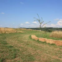 la-vallee-des-fruits-chateauneuf-la-foret-tvsrv