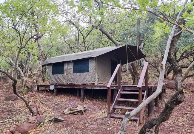 bush-tent-at-waterfall-n11-3gnf1