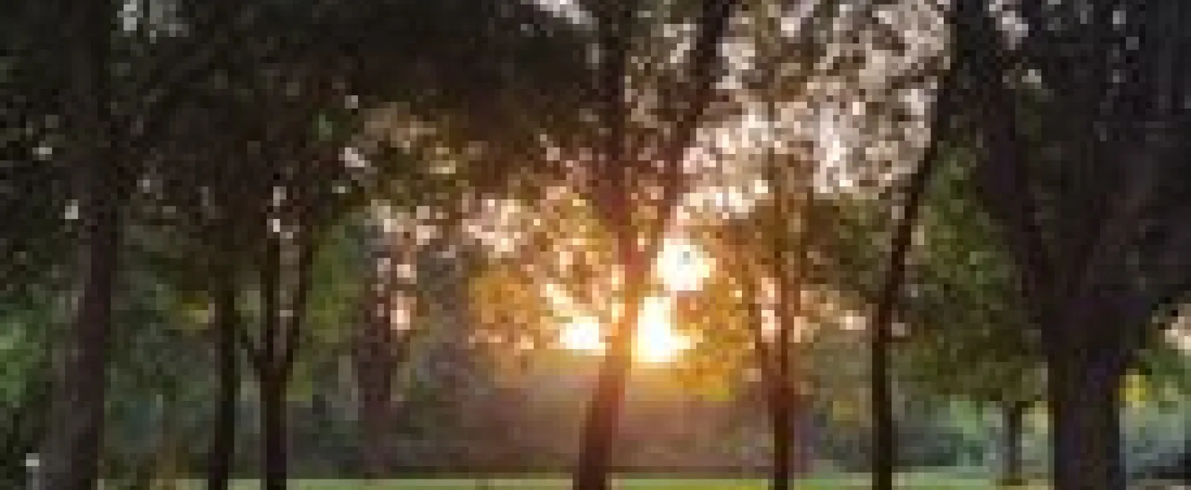 Plum Creek Park
