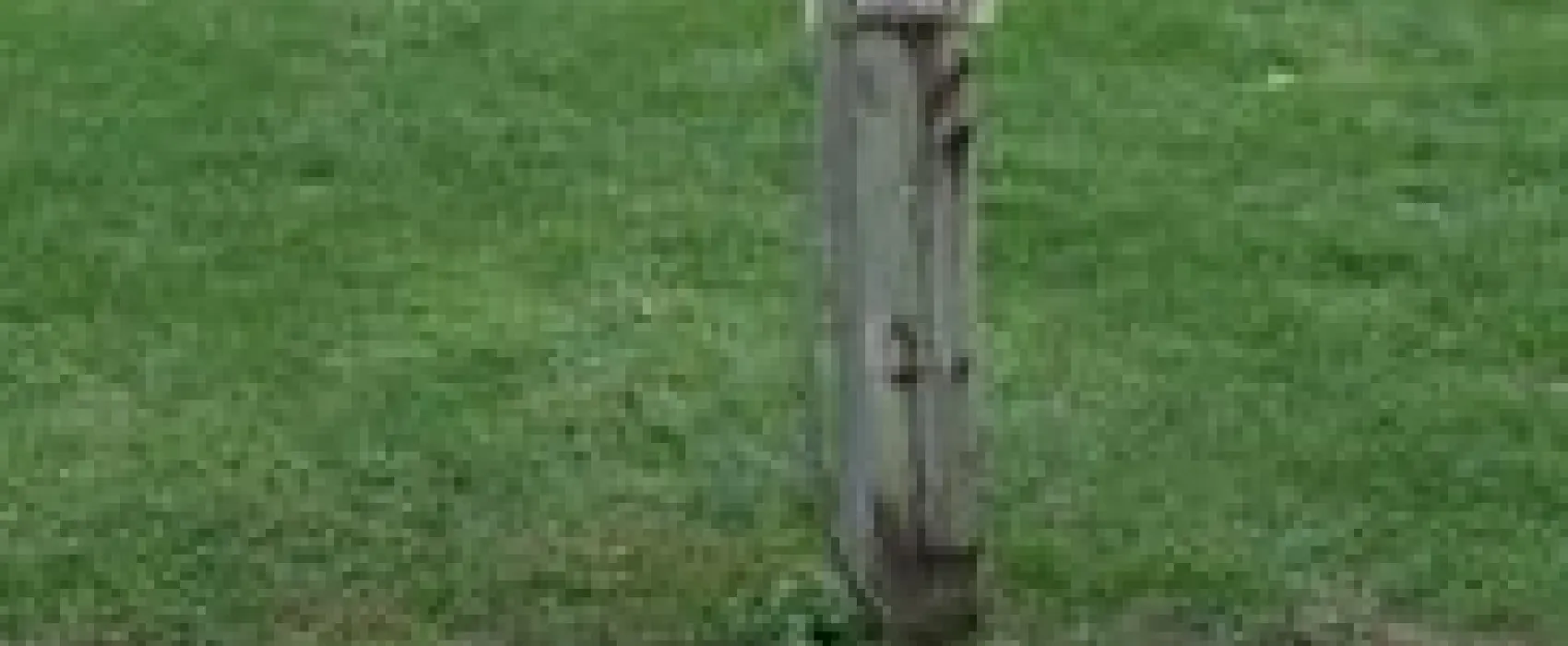 Plum Creek Park