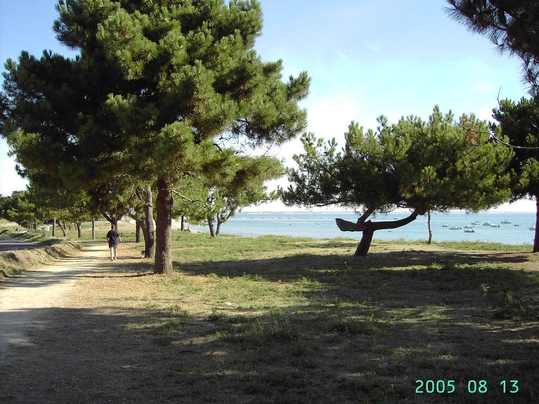 beausejour-quiberon-ym7b8