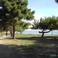 beausejour-quiberon-ym7b8