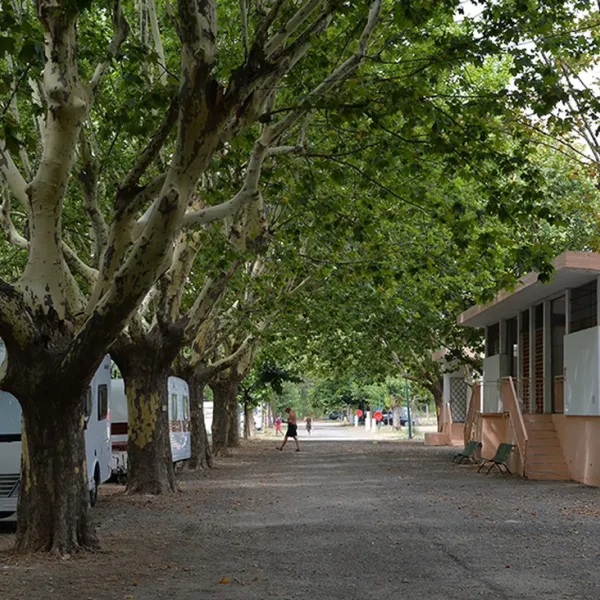 municipal-de-lorb-cessenon-sur-orb-5uvgj