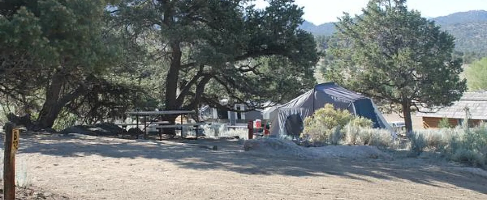 Buena Vista KOA