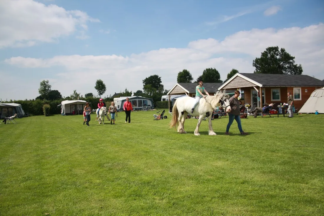 minicamping-de-boskeelen-ossendrecht-qk6iy