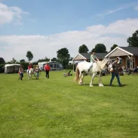 minicamping-de-boskeelen-ossendrecht-qk6iy
