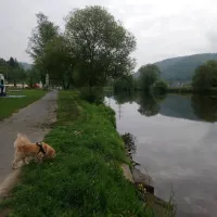 camping-beachclub-fachbach-an-der-lahn-fachbach-jwbvh