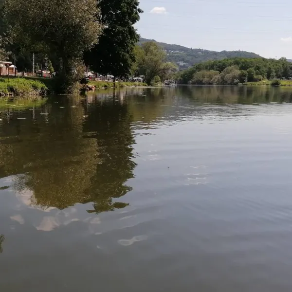 camping-beachclub-fachbach-an-der-lahn-fachbach-s4daf