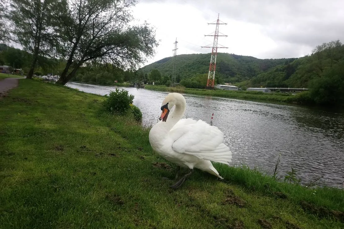 camping-beachclub-fachbach-an-der-lahn-fachbach-tqags