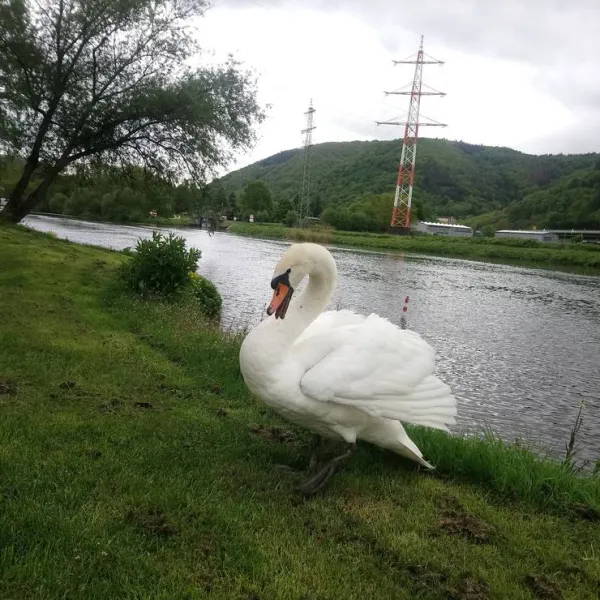 camping-beachclub-fachbach-an-der-lahn-fachbach-tqags