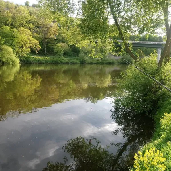 camping-beachclub-fachbach-an-der-lahn-fachbach-twgow