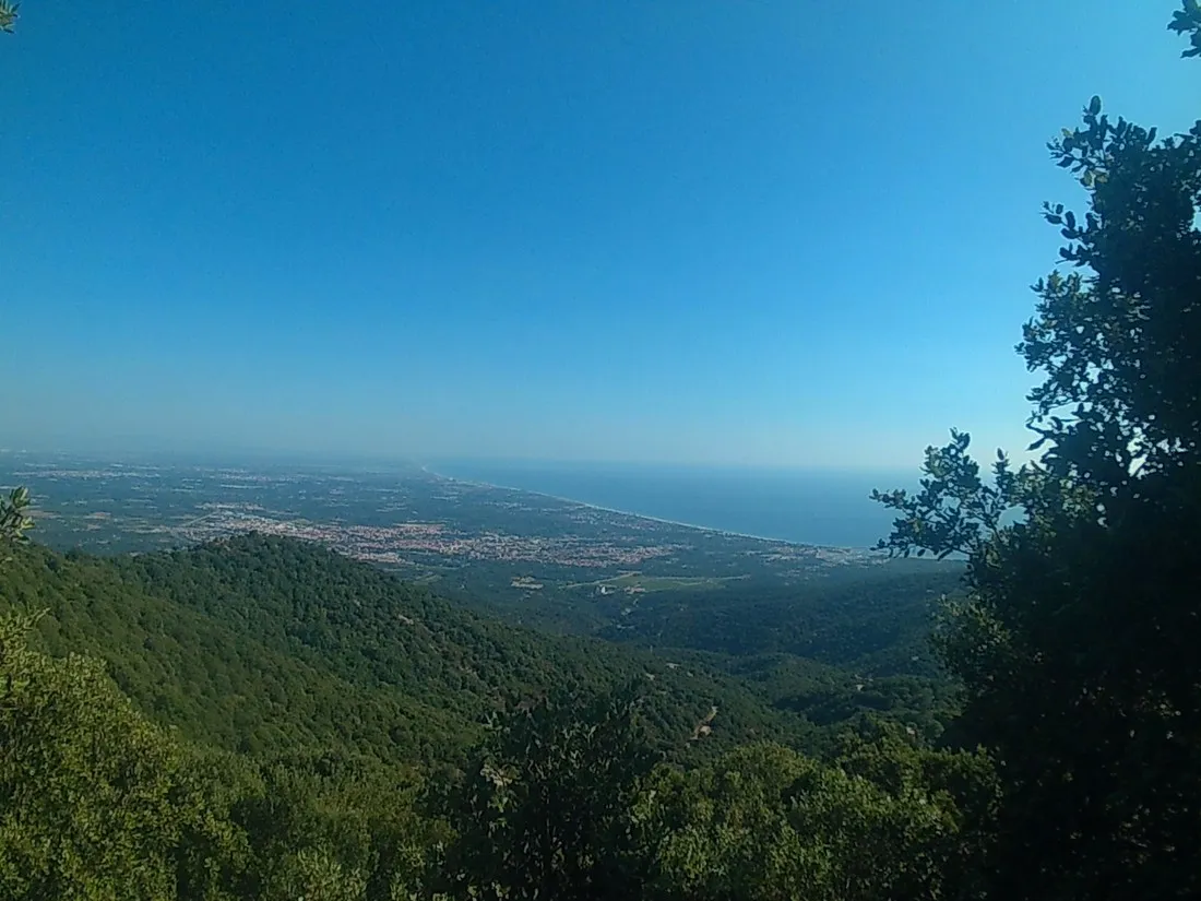 les-chenes-rouges-argeles-sur-mer-ksuxv