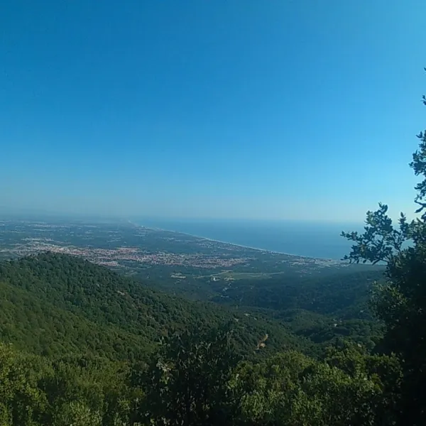 Les Chênes Rouges