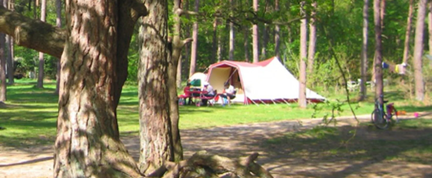 Langeloerduinen