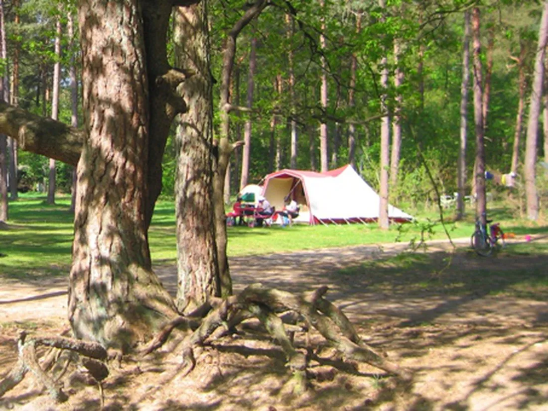 langeloerduinen-norg-eu7wy
