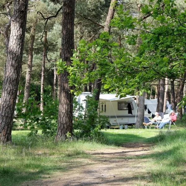 langeloerduinen-norg-kuqd2