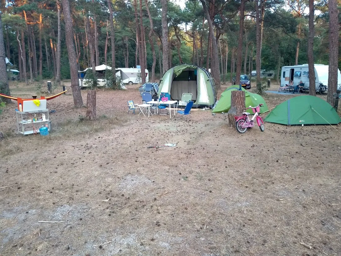 langeloerduinen-norg-rgt3y