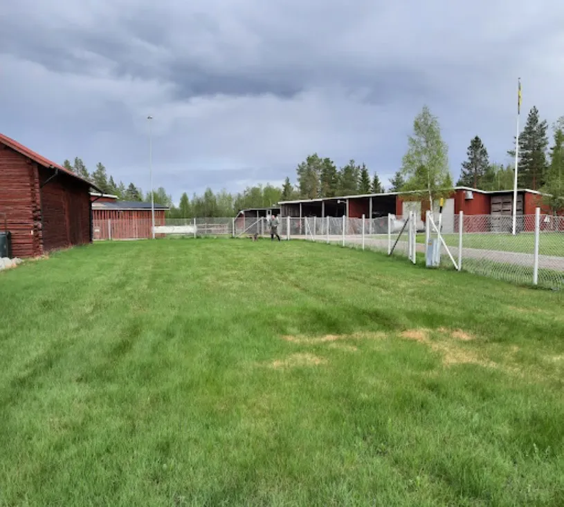 rutsbrogarden-dala-jarna-emxqw