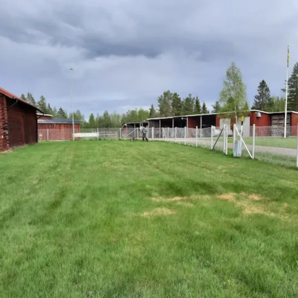 rutsbrogarden-dala-jarna-emxqw