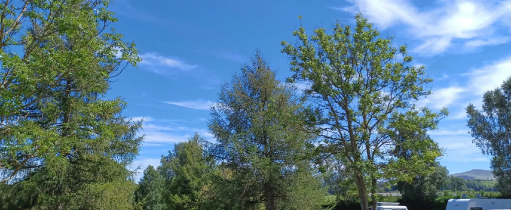 Camping De Jollere