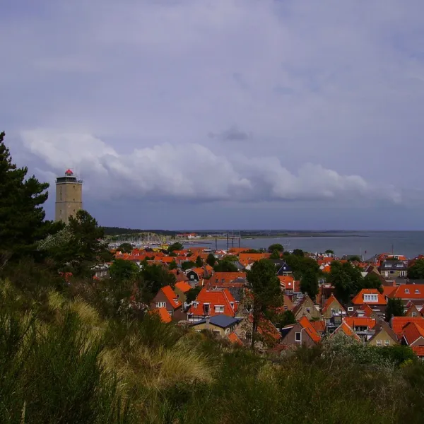 landzicht-vakboerderij-terschelling-g6f3p