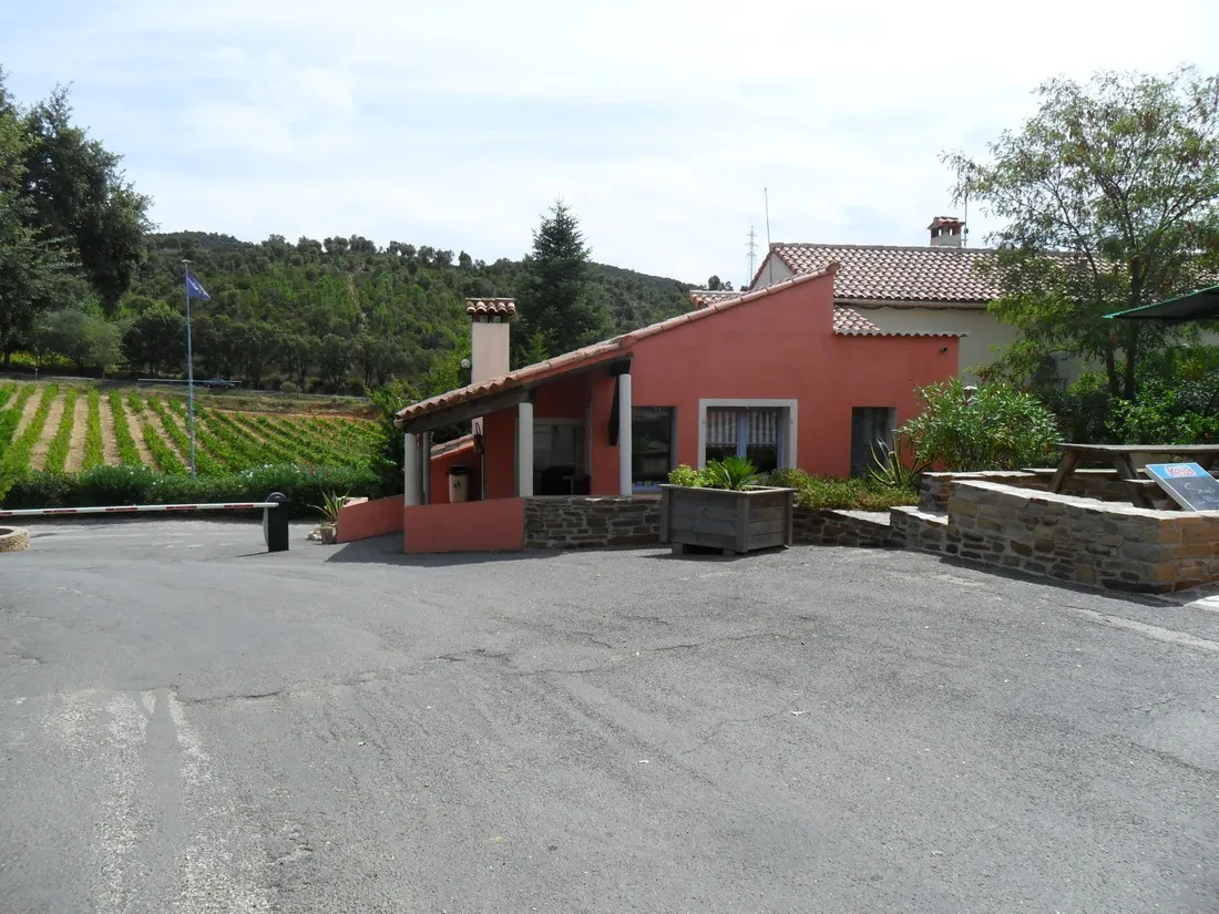 manjastre-bormes-les-mimosas-delry
