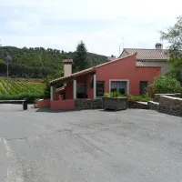 manjastre-bormes-les-mimosas-delry