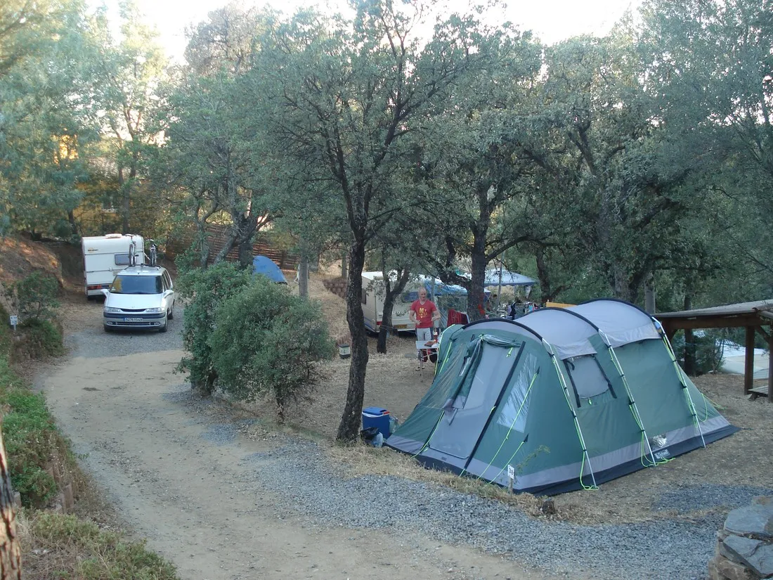 manjastre-bormes-les-mimosas-tykod