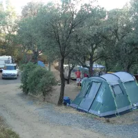 manjastre-bormes-les-mimosas-tykod