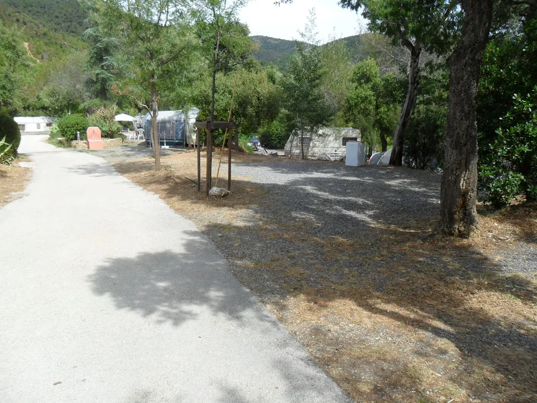 manjastre-bormes-les-mimosas-zamgt