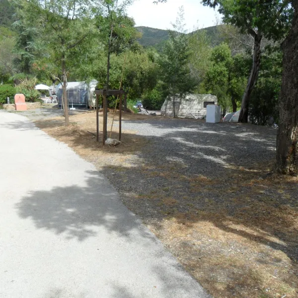 manjastre-bormes-les-mimosas-zamgt