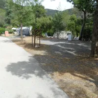 manjastre-bormes-les-mimosas-zamgt