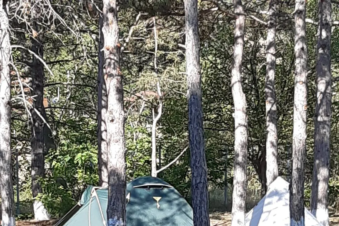 httpnordcampingru-feodosiya-poselok-shchebetovka-r5vvv