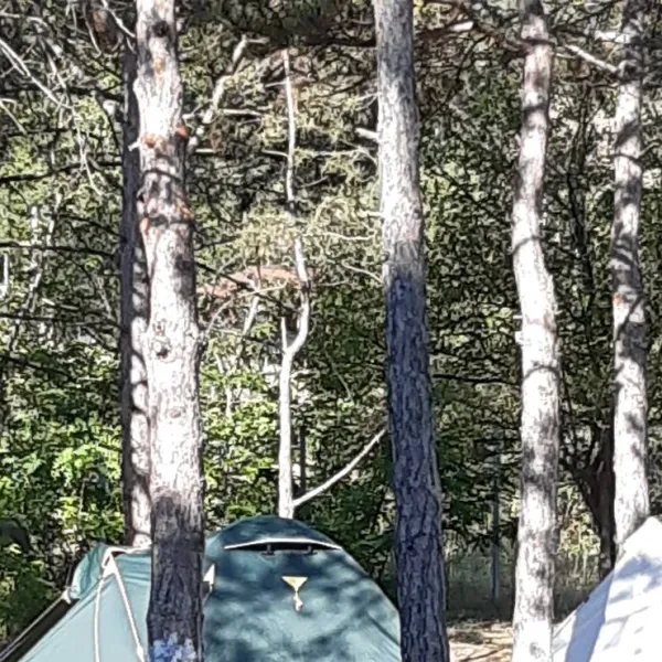 httpnordcampingru-feodosiya-poselok-shchebetovka-r5vvv