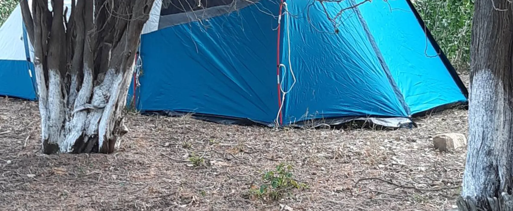 http://nordcamping.ru/