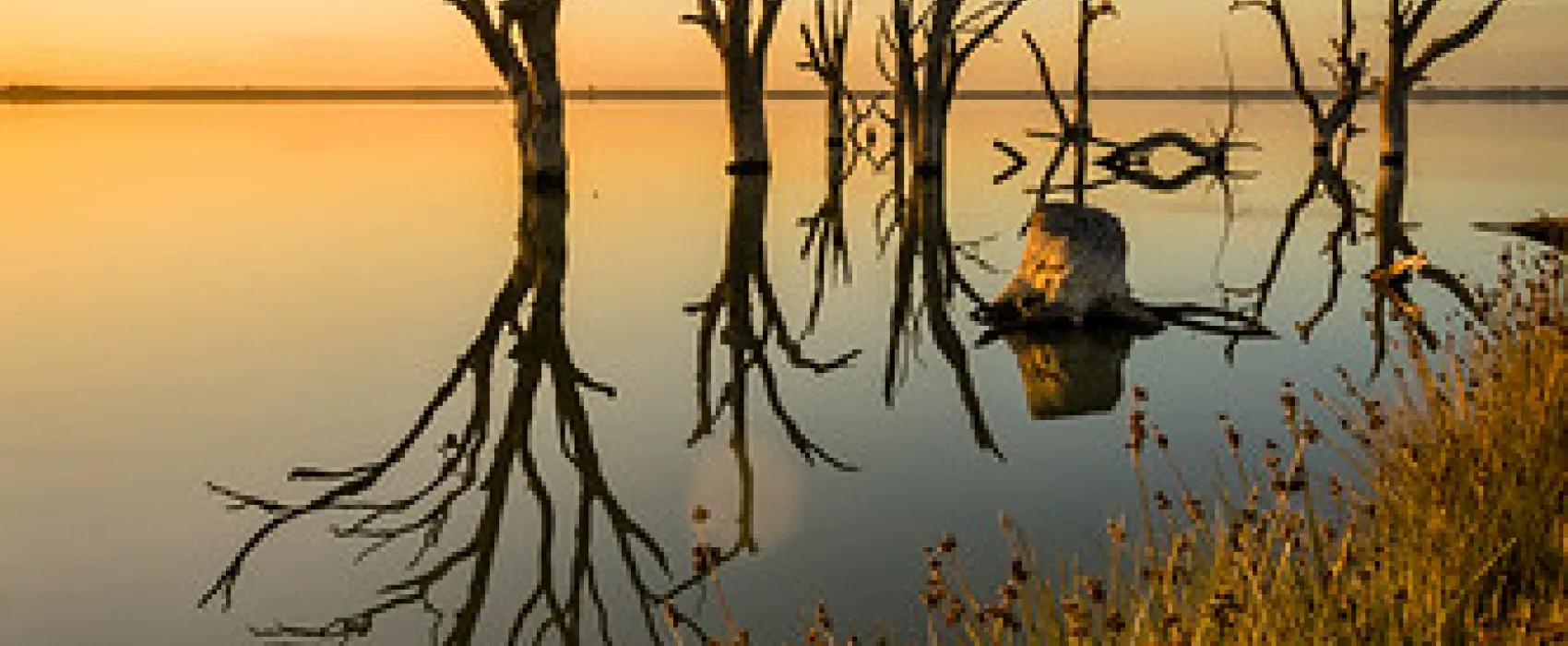 Lake Bonney Campground