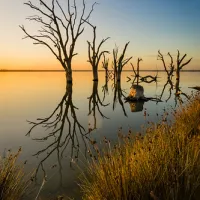 lake-bonney-campground-barmera-bbcv9