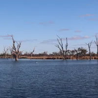Lake Bonney Campground